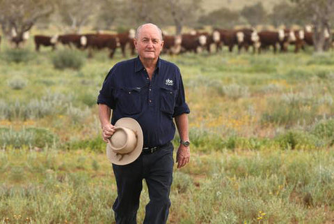 Where does Chief beef come from? - Chief Nutrition