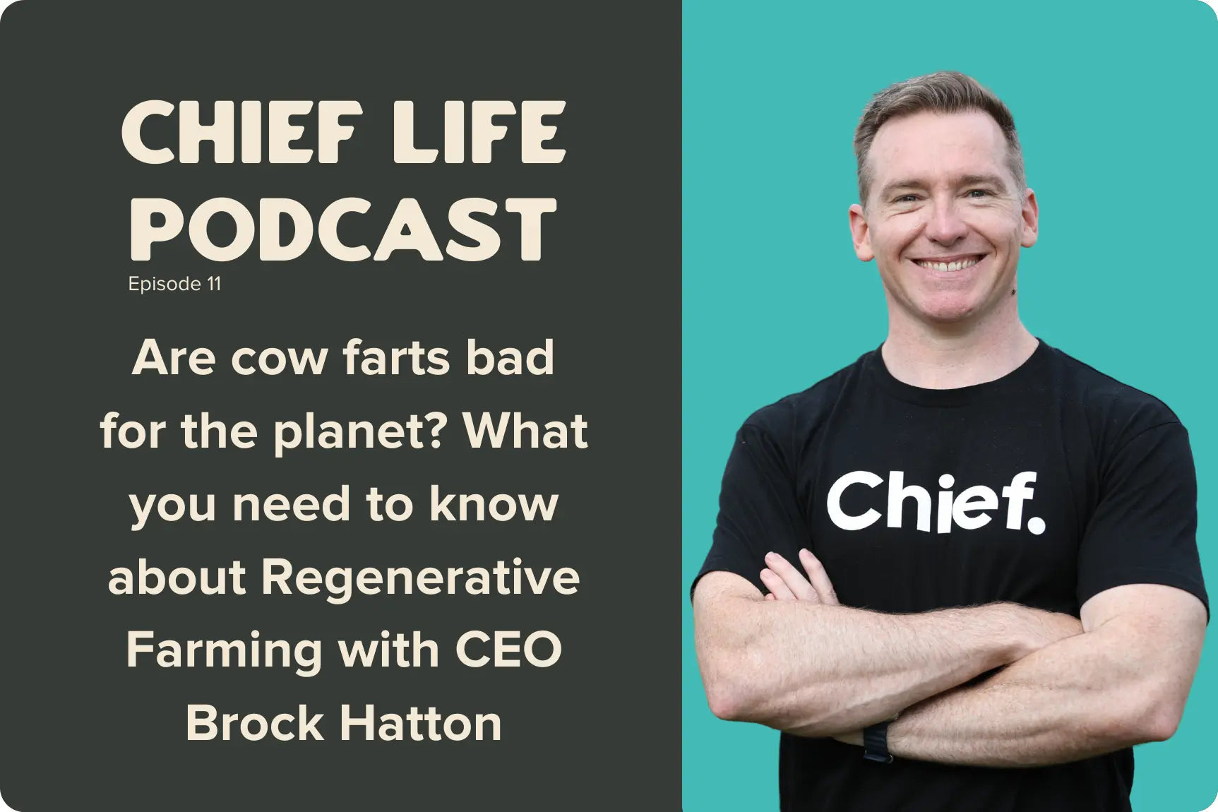 Are-cow-farts-bad-for-the-planet-What-you-need-to-know-about-Regenerative-Farming Chief Nutrition