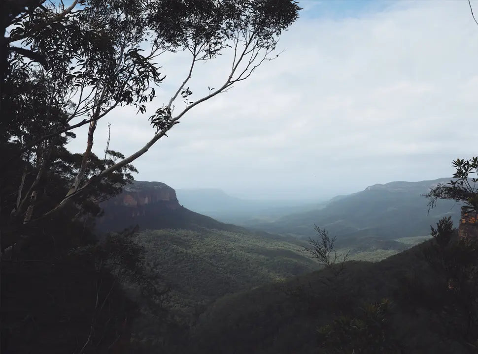 Australia's top 3 trail runs - Chief Nutrition