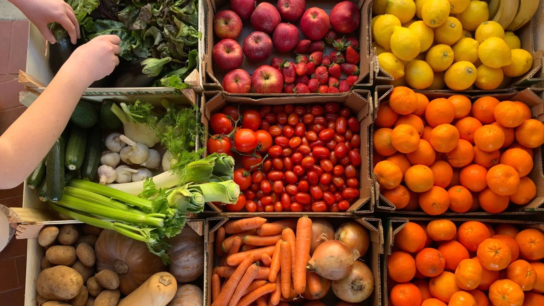 Do Calories Really Matter? - Chief Nutrition