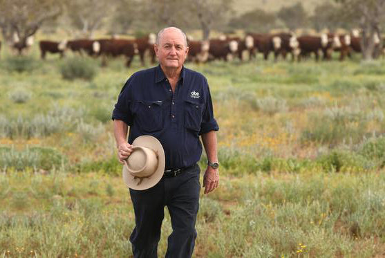 Where does Chief beef come from? - Chief Nutrition