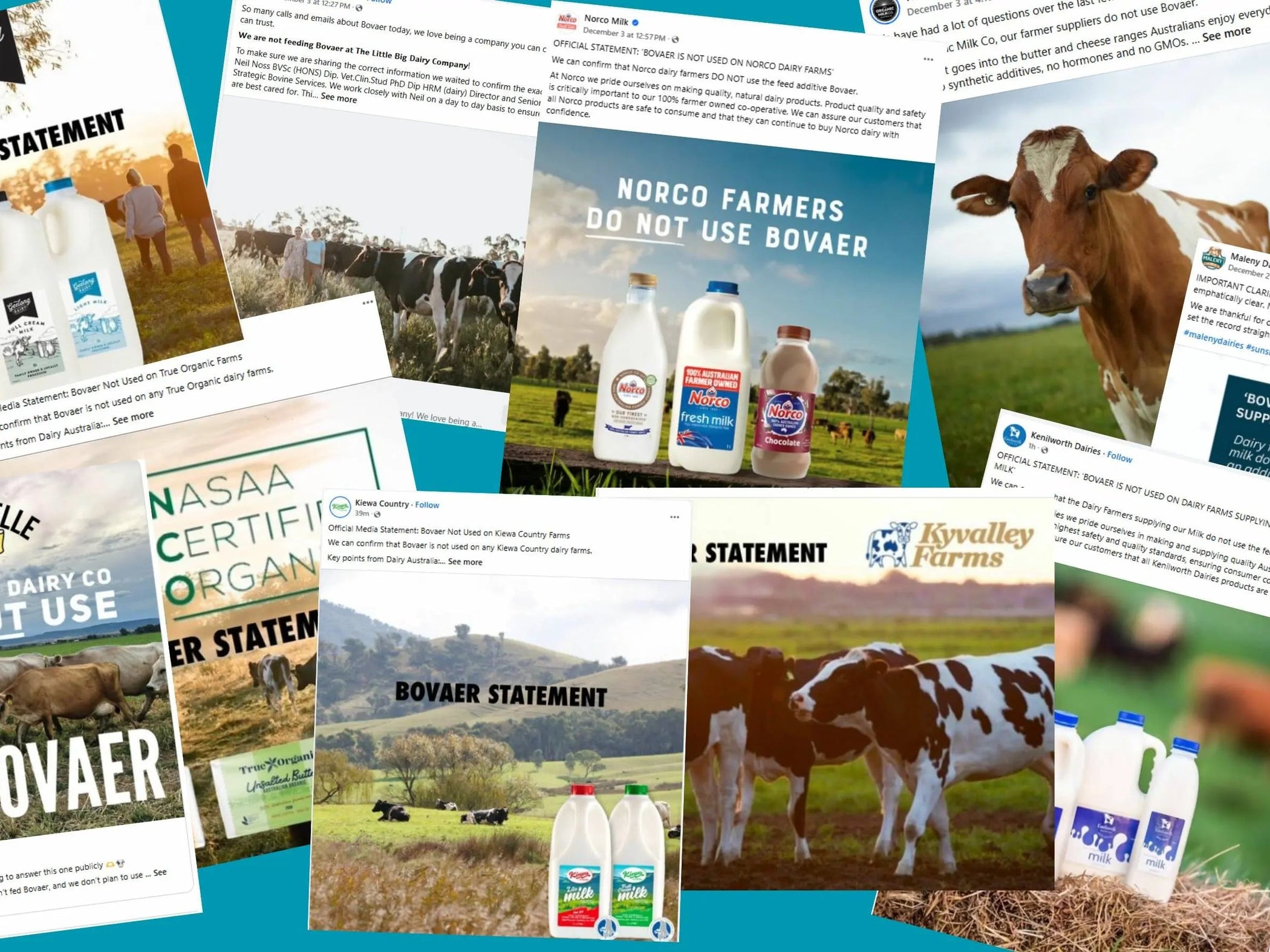 What is Bovaer and what is it doing in cattle feed? - Chief Nutrition ...