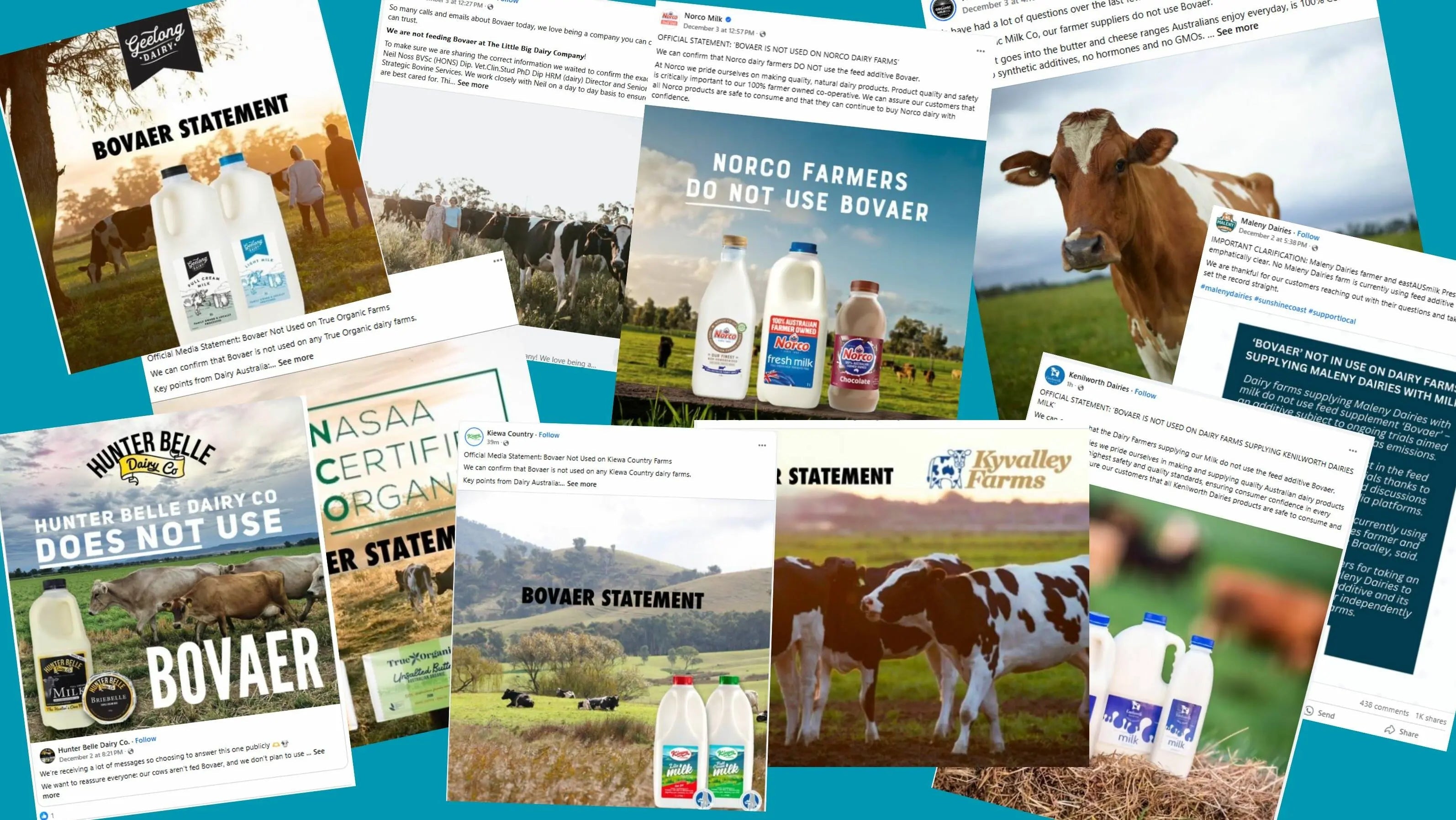What is Bovaer and what is it doing in cattle feed? - Chief Nutrition