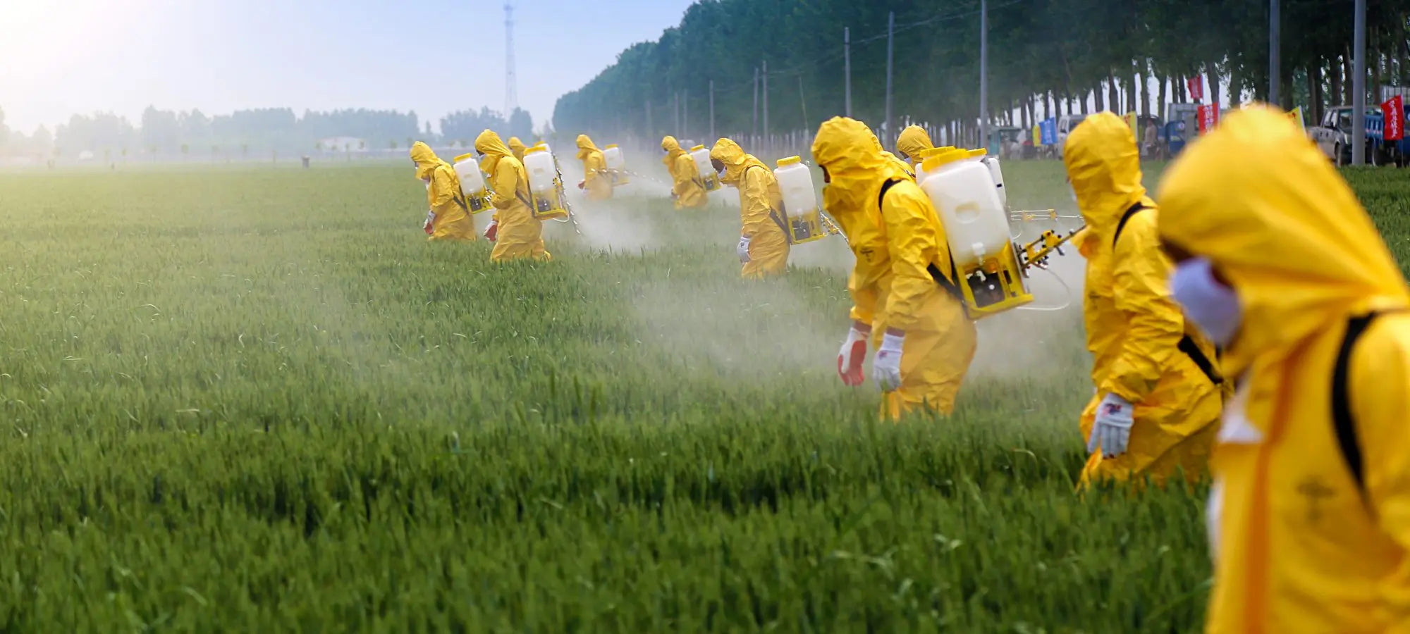 Do we need to worry about Glyphosate in our food? - Chief Nutrition