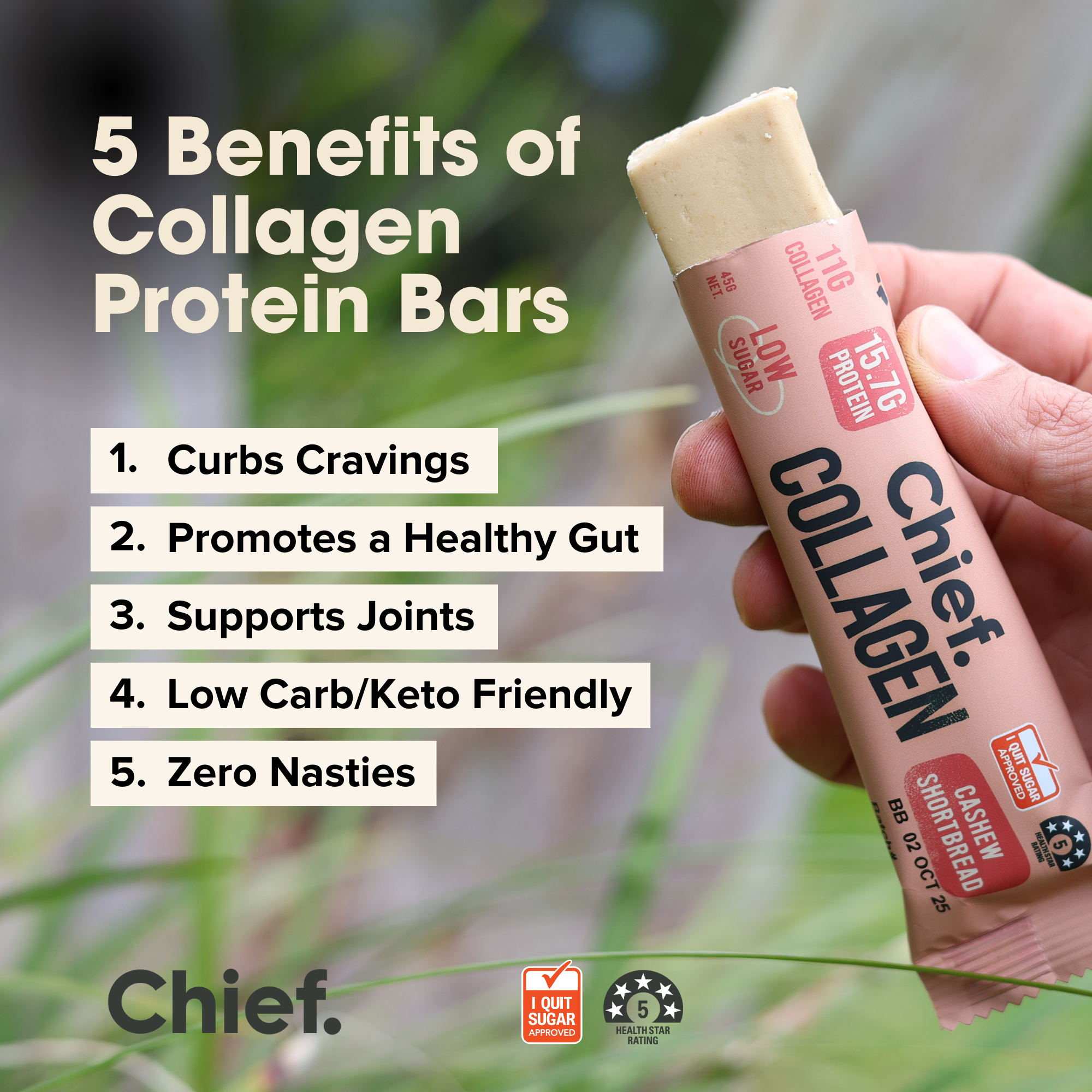 Collagen Protein Cashew Shortbread Bar (12 Bars) Chief Nutrition
