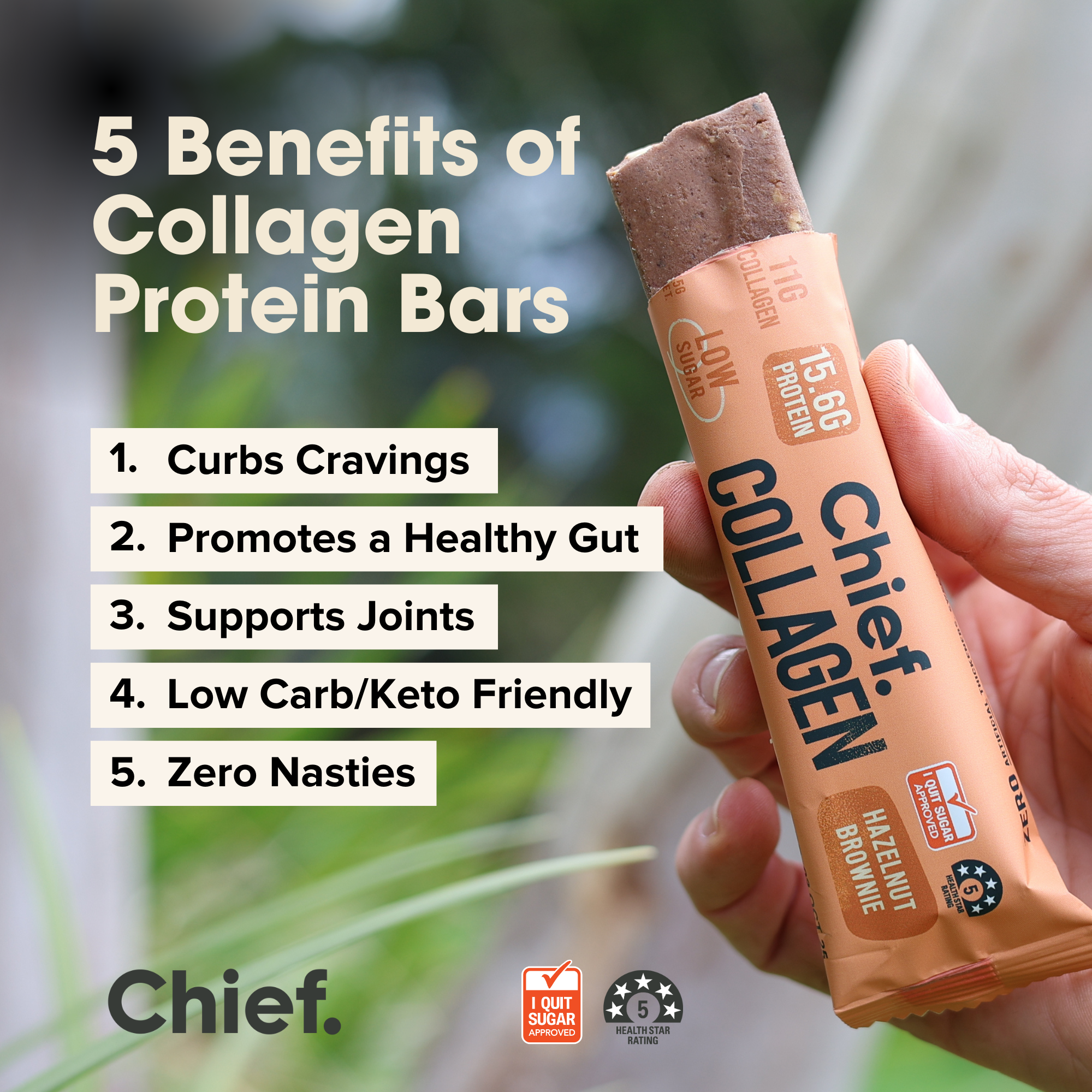 Collagen Protein Hazelnut Brownie Bar (12 bars) Chief Nutrition