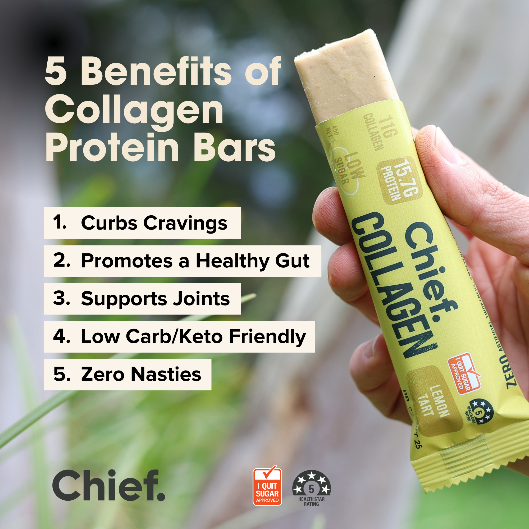 Collagen Protein Lemon Tart Bar (12 bars) Chief Nutrition