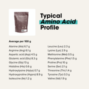 Chief Dark Chocolate Collagen Protein Powder typical amino acid profile