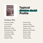 Grass-fed Whey Protein Powder - Smooth Chocolate