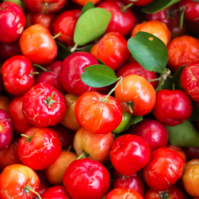Acerola Berry