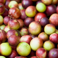 Camu_Camu.png