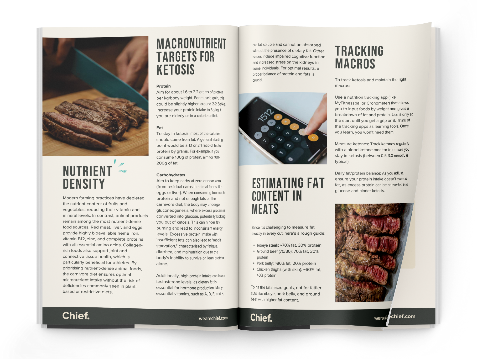How To Do Carnivore Right eBook (eBook)