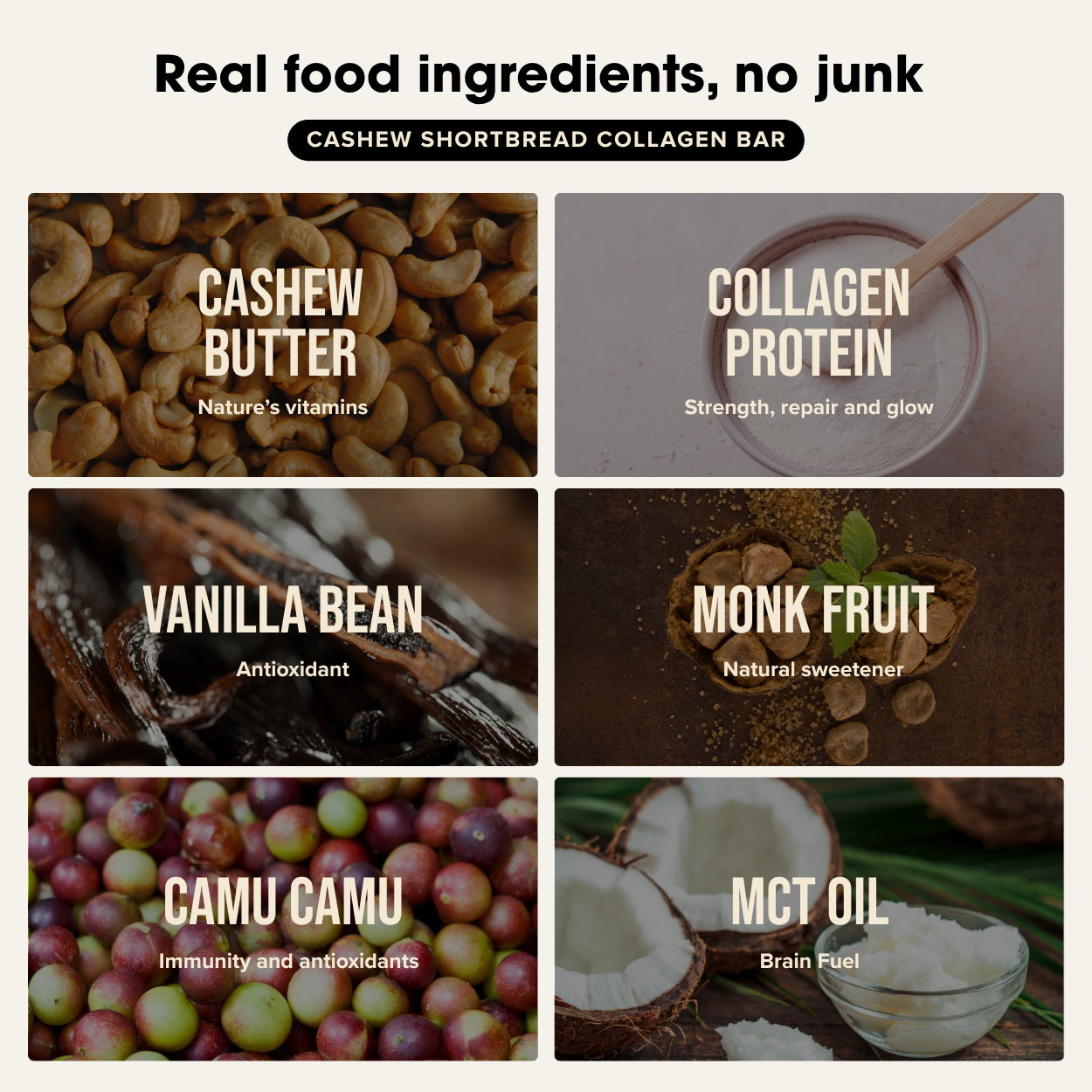 Collagen Protein Cashew Shortbread Bar (12 Bars) Chief Nutrition