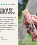 Collagen Protein Cashew Shortbread Bar (12 Bars) Chief Nutrition