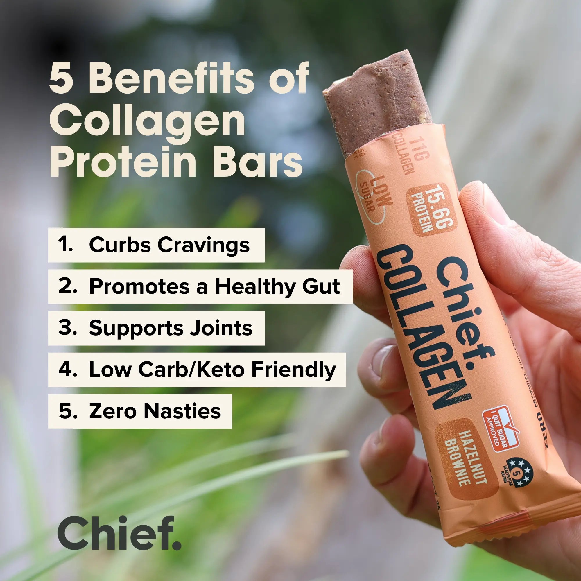 Collagen Protein Bar (12 bars) | Hazelnut Brownie | Chief Nutrition