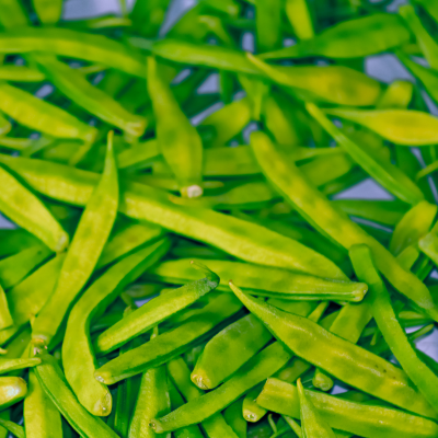 Partially Hydrolysed Guar Gum