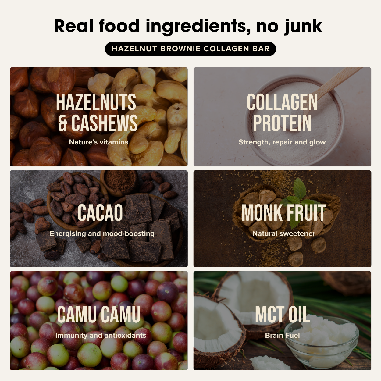 Collagen Protein Hazelnut Brownie Bar (12 bars) Chief Nutrition