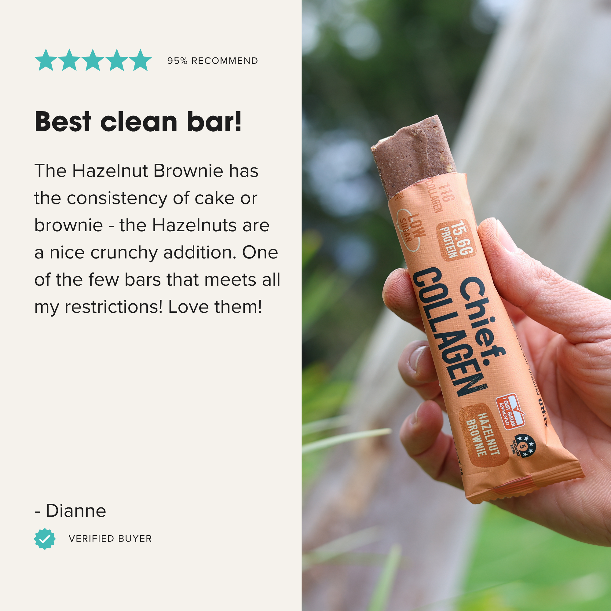 Collagen Protein Hazelnut Brownie Bar (12 bars) Chief Nutrition