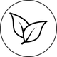 L-theanine_tea_leaf_icon_504d0fe2-03de-4065-ad0b-b8c5131513b1.png