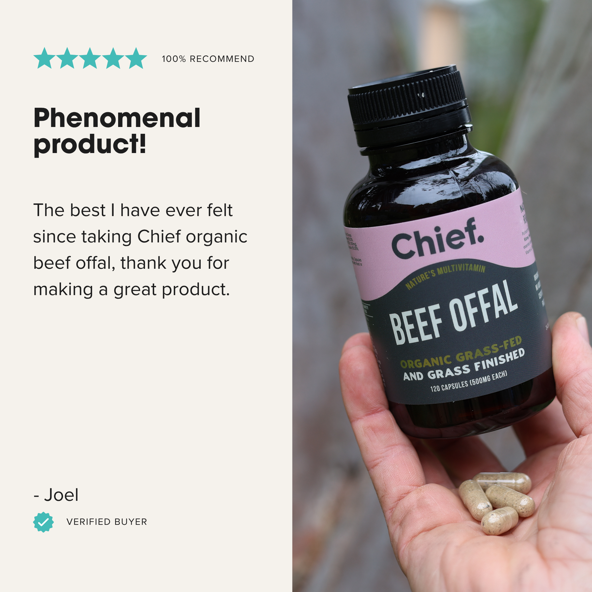 The Ultimate Supplement Bundle Chief Nutrition