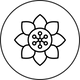 Passionflower_icon_6db5214a-cafa-4272-9aa7-0dc21ec01cee.png