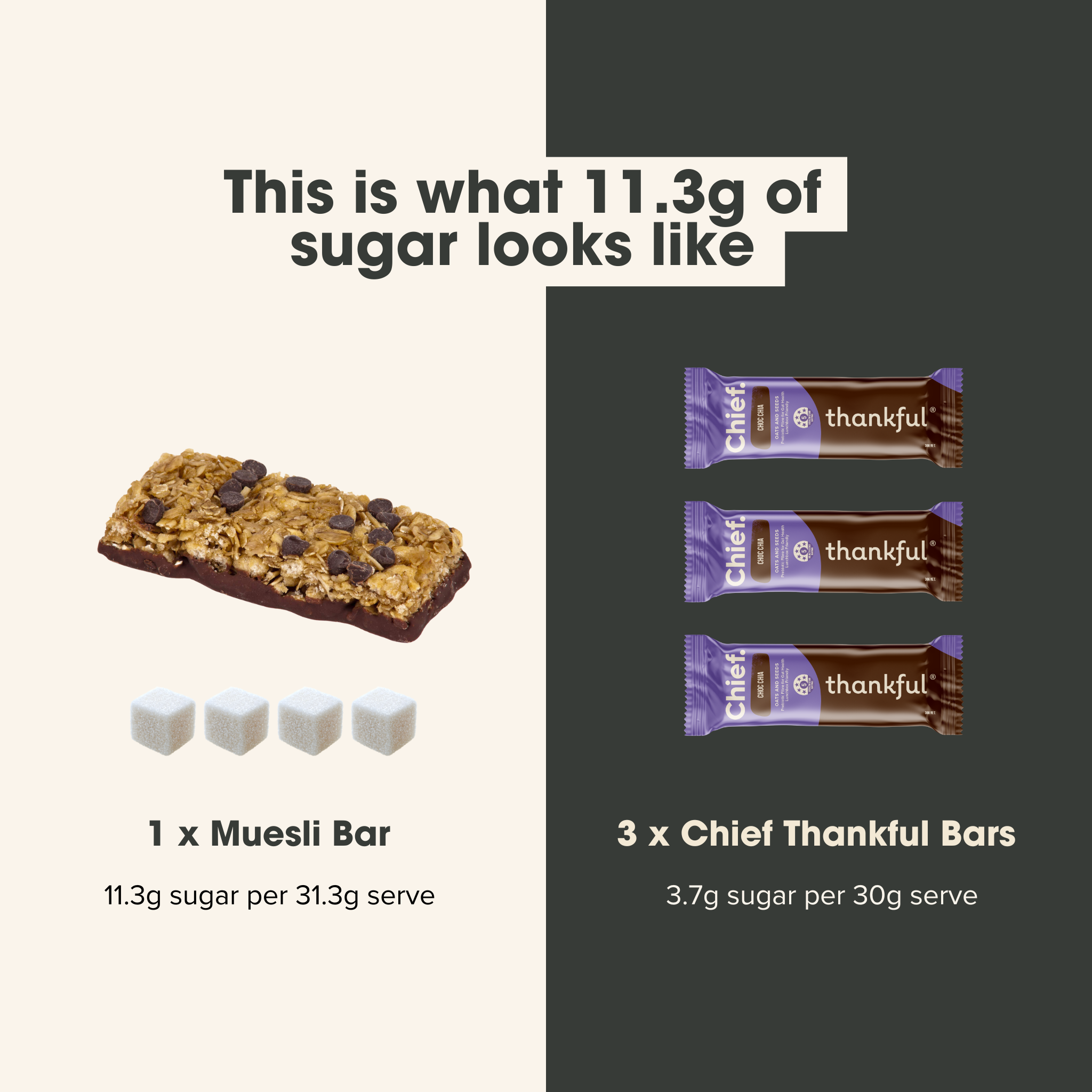 Thankful Bars - Choc Chia
